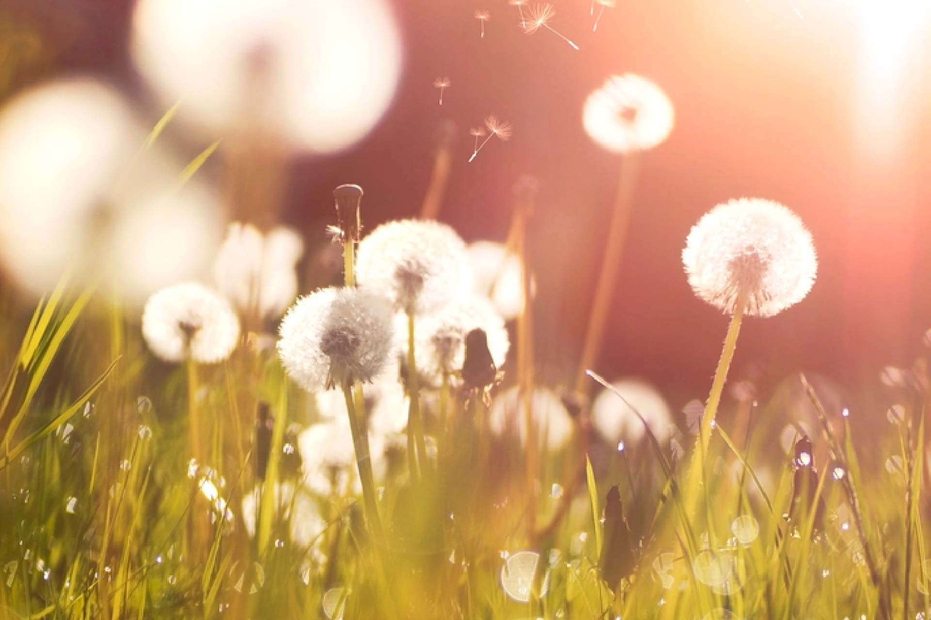 aparthotel fontanellas playa durabilite